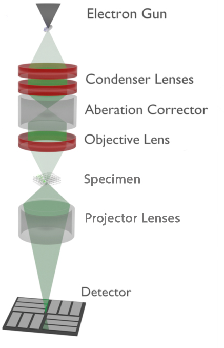 اجزای میکروسکوپ الکترونی عبوری