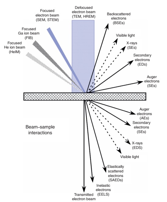 برهمکنشهای پرتو الکترونی با نمونه