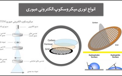 انواع توری میکروسکوپ الکترونی عبوری (TEM Grids)