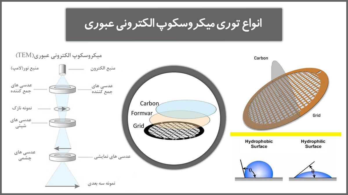 انواع توری میکروسکوپ الکترونی عبوری (TEM Grids)