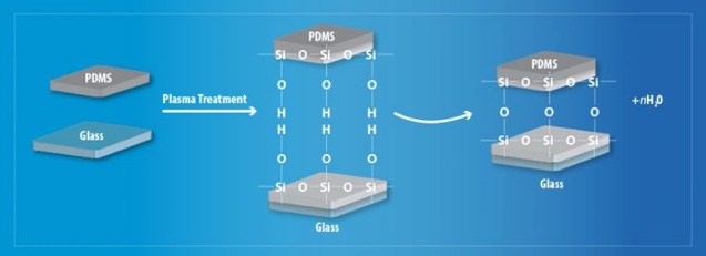 Plasma Treated PDMS Microfluidic Device | فرآیند پلاسما در میکروفلوئید‌ها